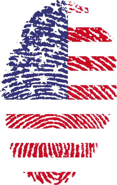 USA flag digital fIngerprint